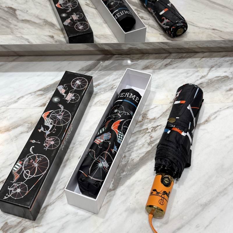 Hermes Umbrella (65)