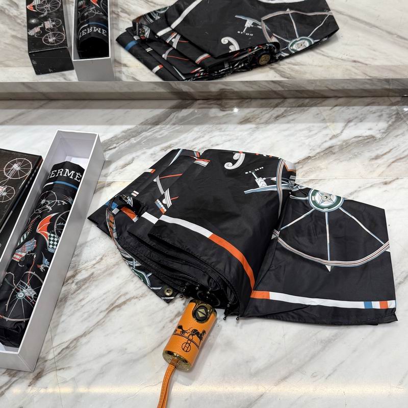 Hermes Umbrella (67)