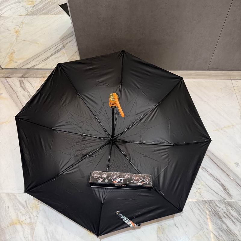 Hermes Umbrella (68)