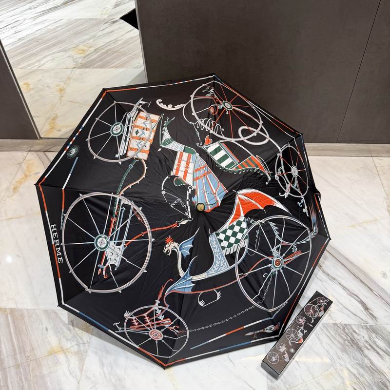 Hermes Umbrella (69)