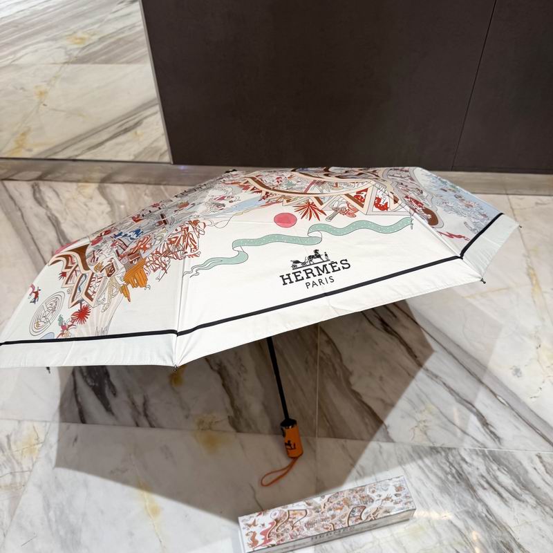 Hermes Umbrella (7)