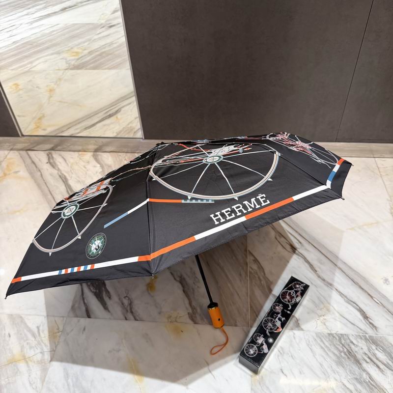 Hermes Umbrella (70)