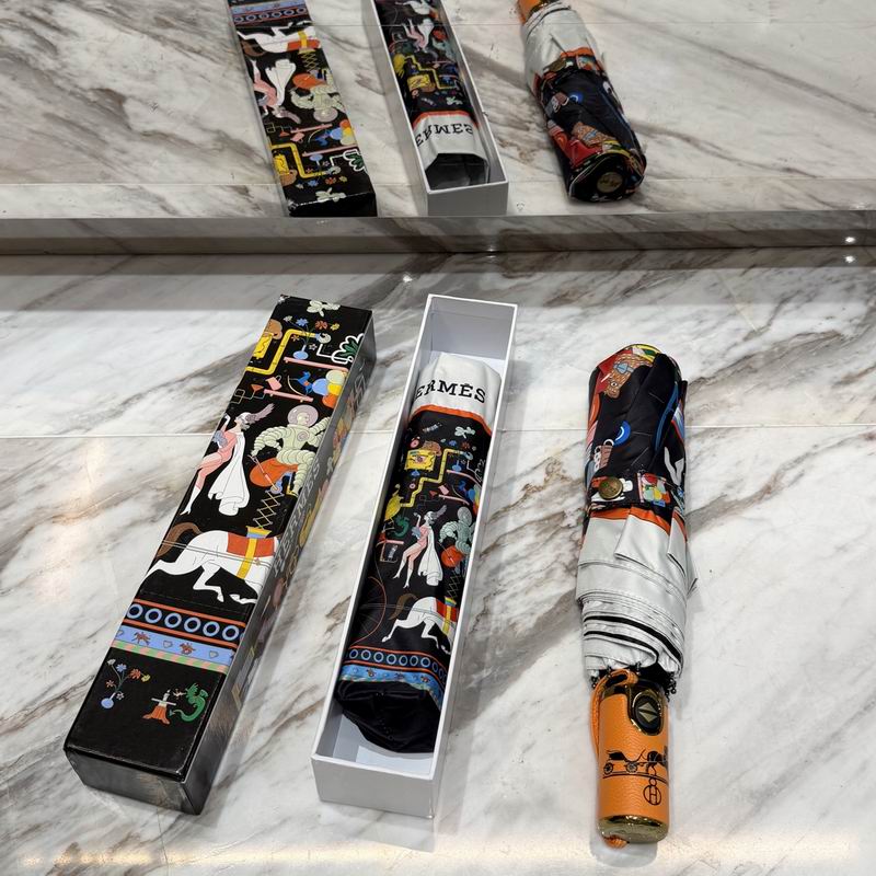 Hermes Umbrella (74)