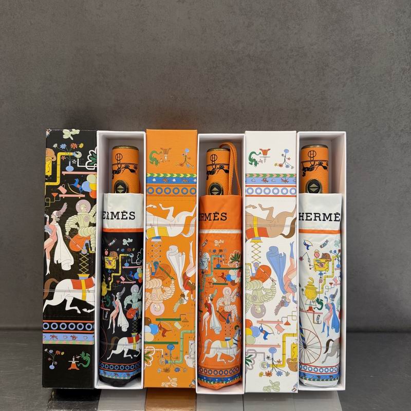 Hermes Umbrella (80)