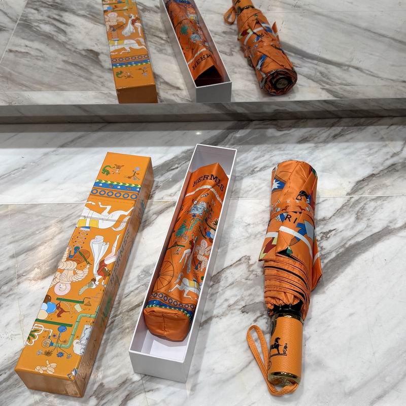 Hermes Umbrella (83)