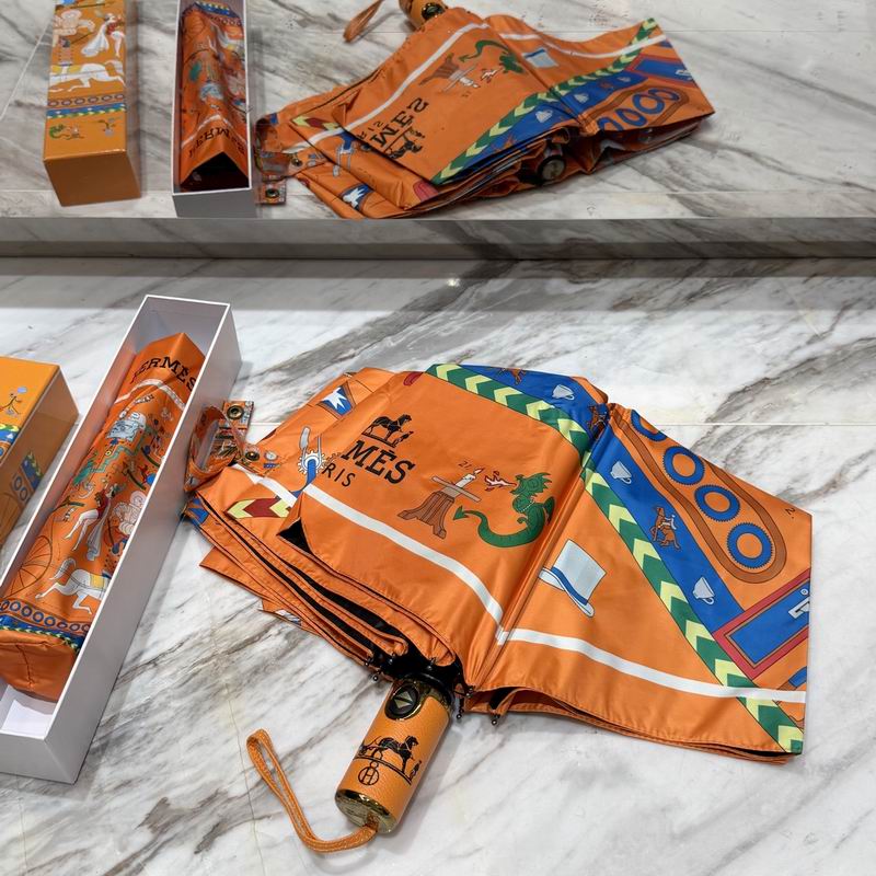 Hermes Umbrella (85)