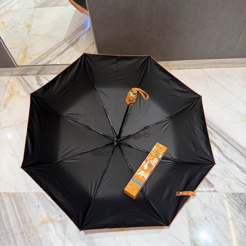 Hermes Umbrella (88)