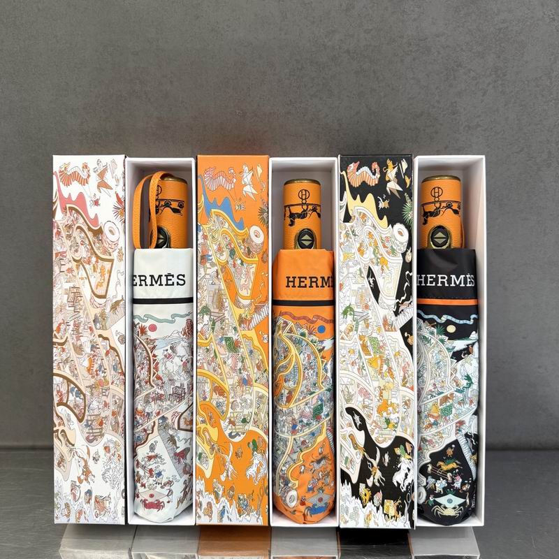 Hermes Umbrella (9)