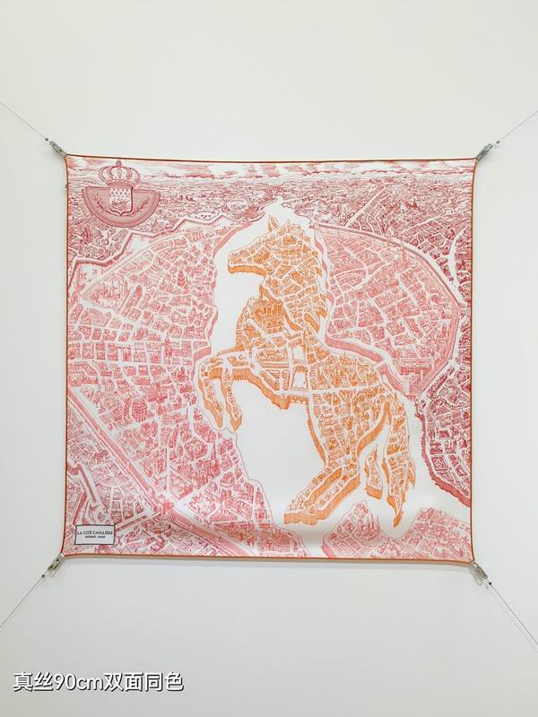 Hermes silk scarf hm (102)