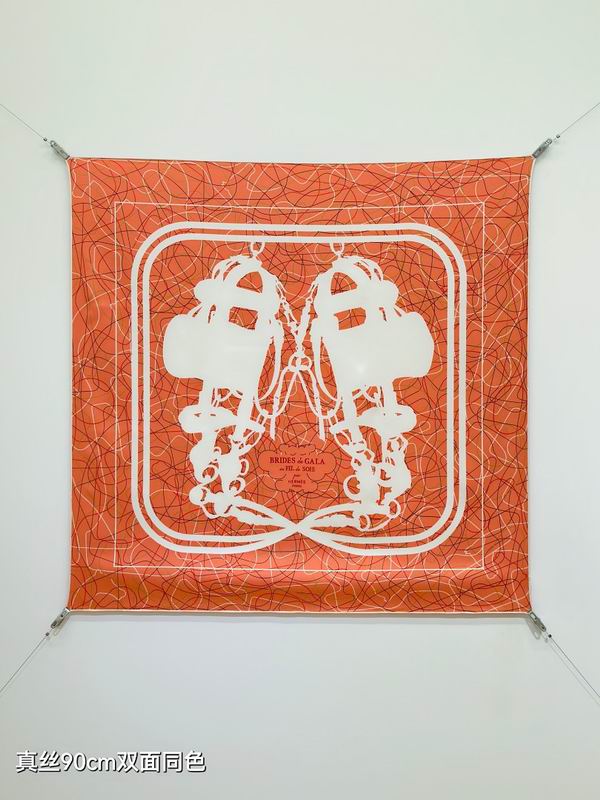 Hermes silk scarf hm (456)
