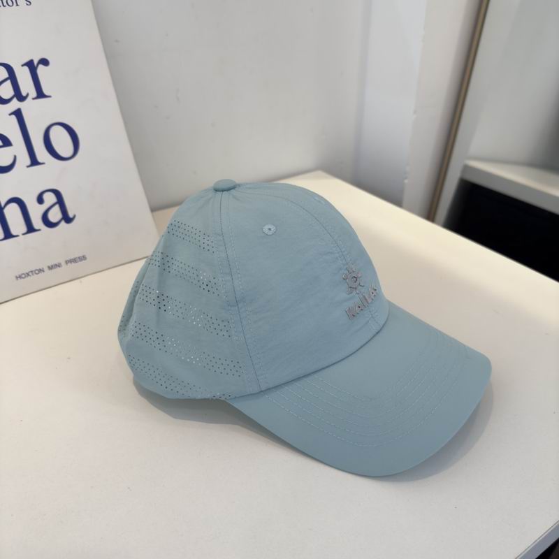 Kailas cap (677)