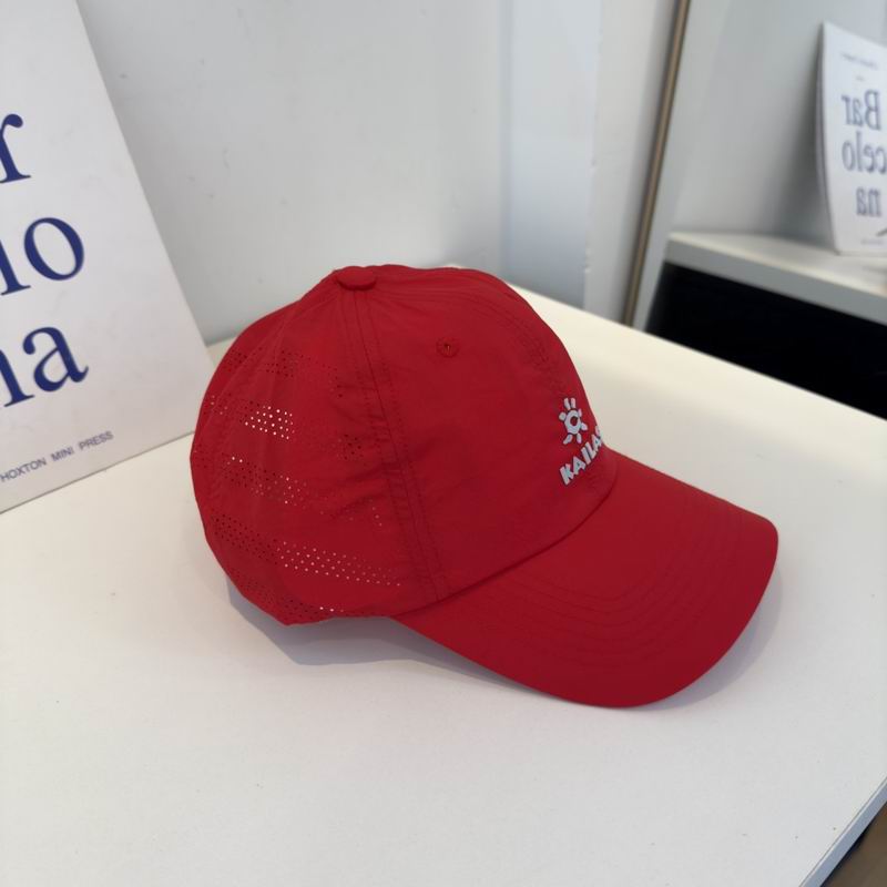 Kailas cap (719)