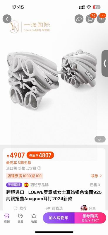 Loewe Earring 05yxs23 (3)