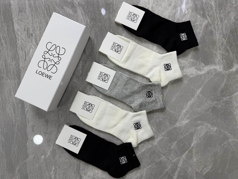 Loewe Socks QY (158)