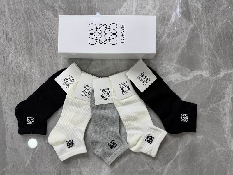 Loewe Socks QY (161)