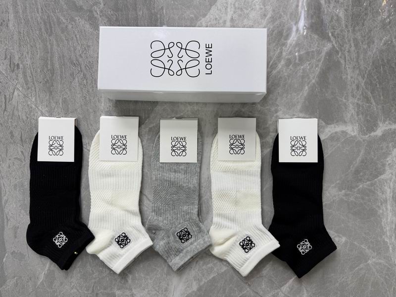 Loewe Socks QY (162)