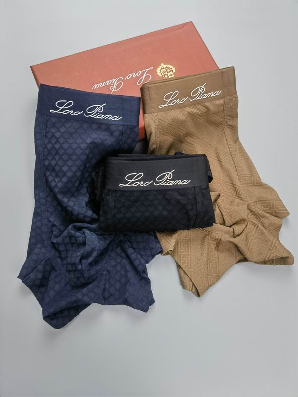 Loro Piana boxer L-4XL13 (1)