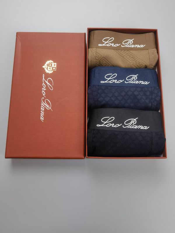 Loro Piana boxer L-4XL13 (2)