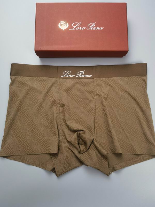 Loro Piana boxer L-4XL13 (4)