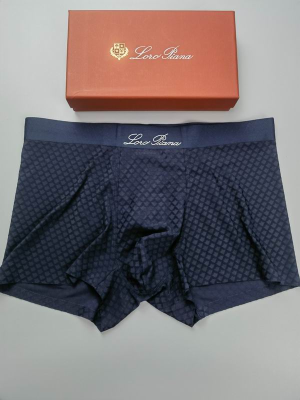 Loro Piana boxer L-4XL13 (5)