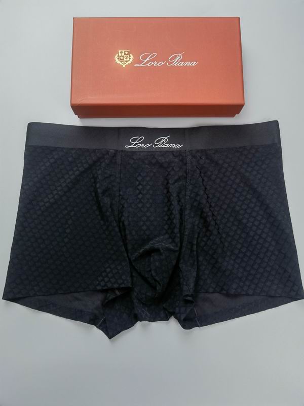 Loro Piana boxer L-4XL13 (6)