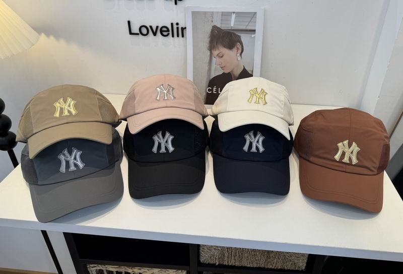NY Cap dx (2456)