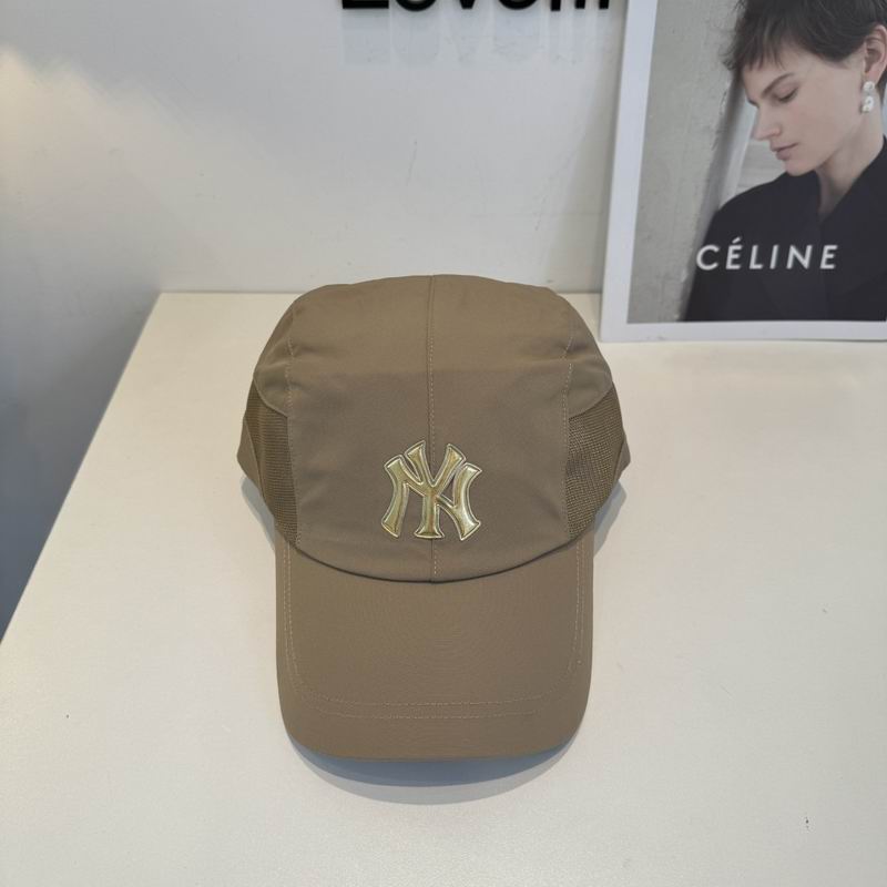 NY Cap dx (2463)
