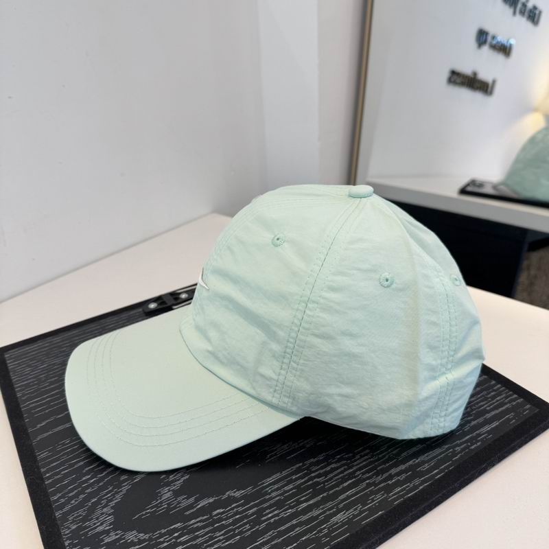 Nike Cap dx (2523)