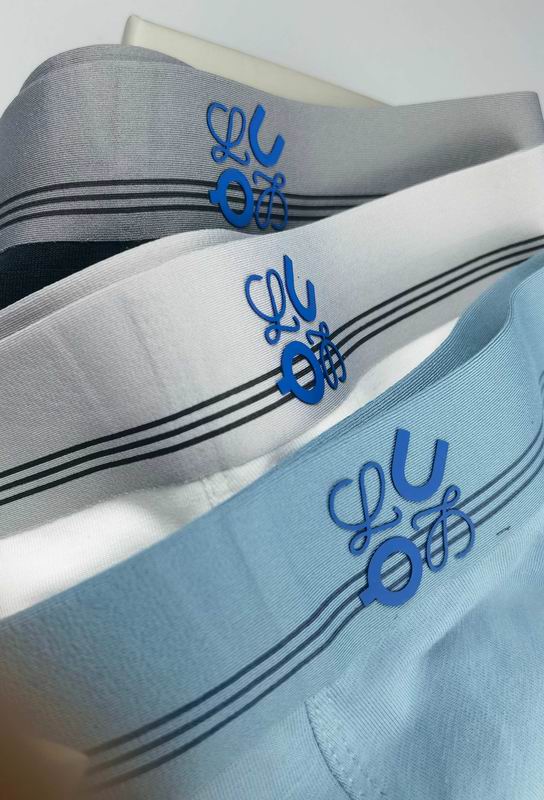 ON boxer L-4XL 01 (3)