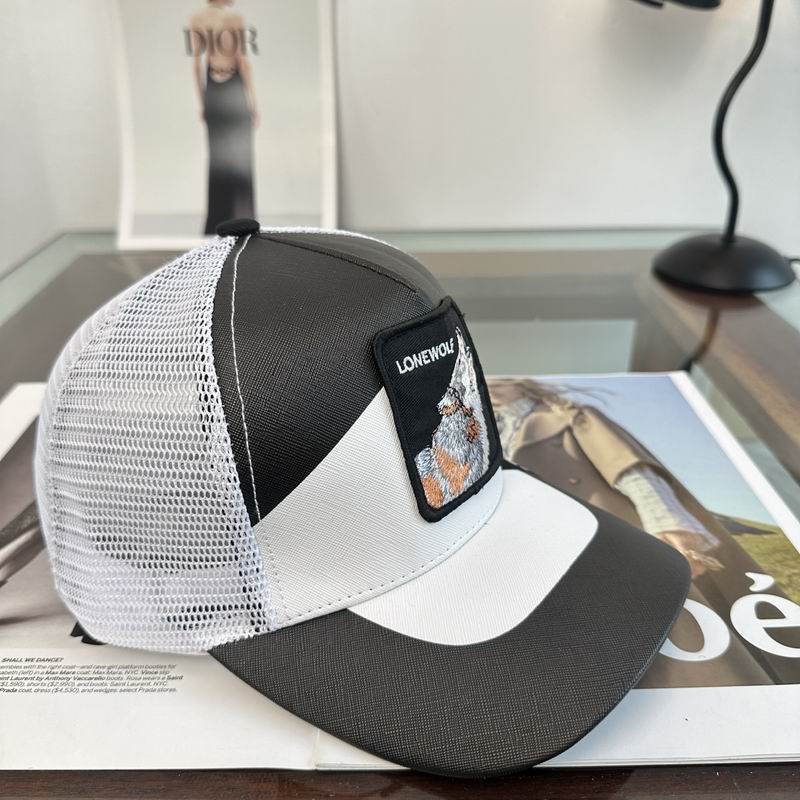 Other Cap dx (3377)