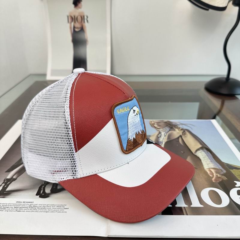 Other Cap dx (3397)