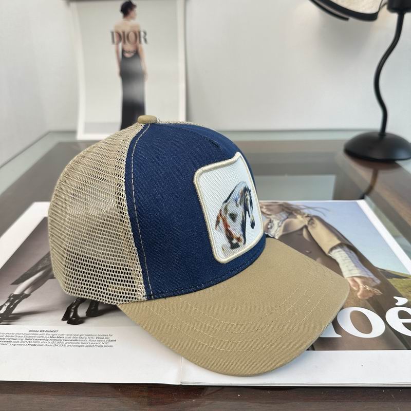 Other Cap dx (3406)