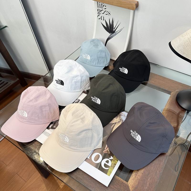 The North Face cap (224)