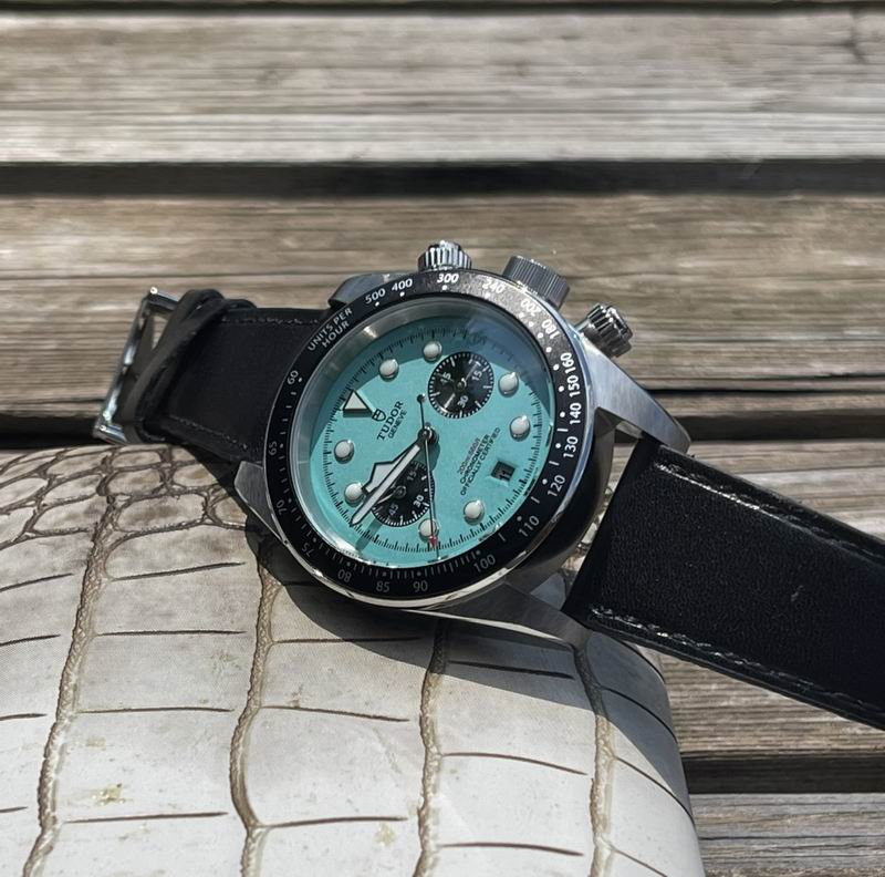 Tudor 42mm 17 (2)