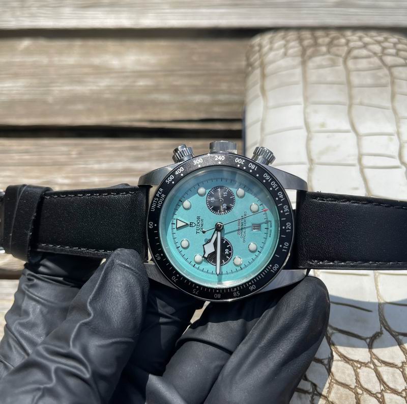 Tudor 42mm 17 (7)
