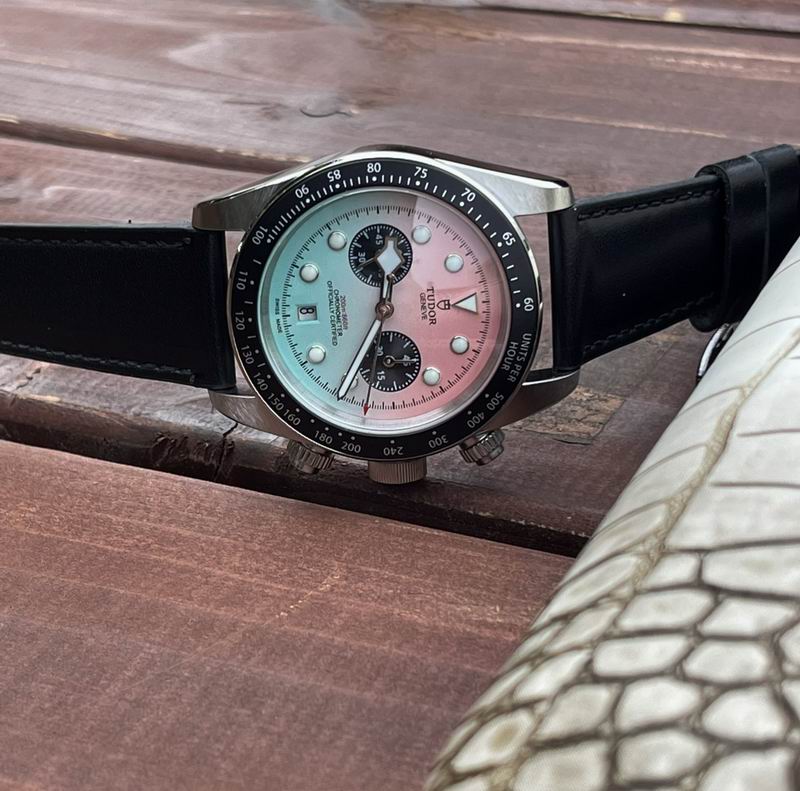 Tudor 42mm 25 (2)