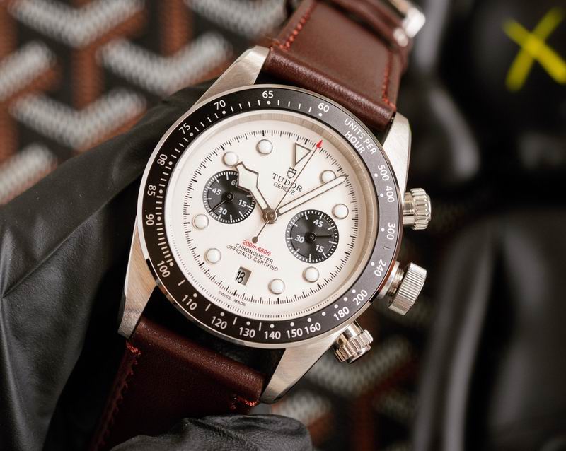 Tudor 42mm 27 (7)