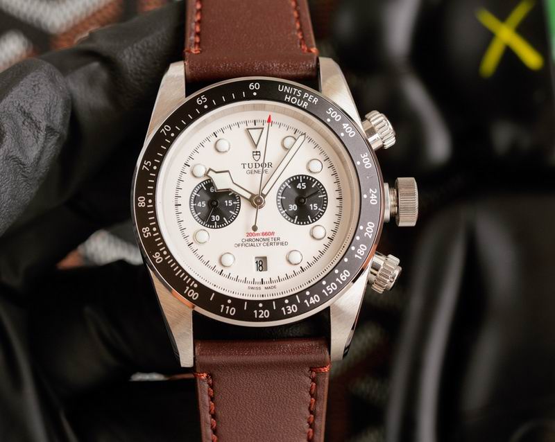 Tudor 42mm 27 (9)