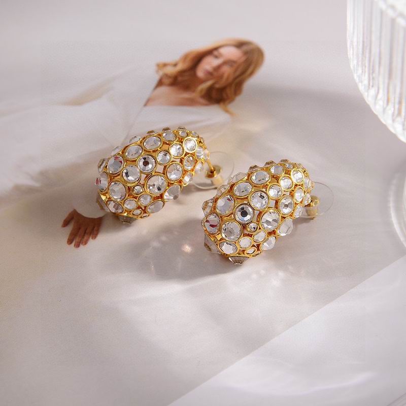 Valentino  Earring 05yxs25 (4)