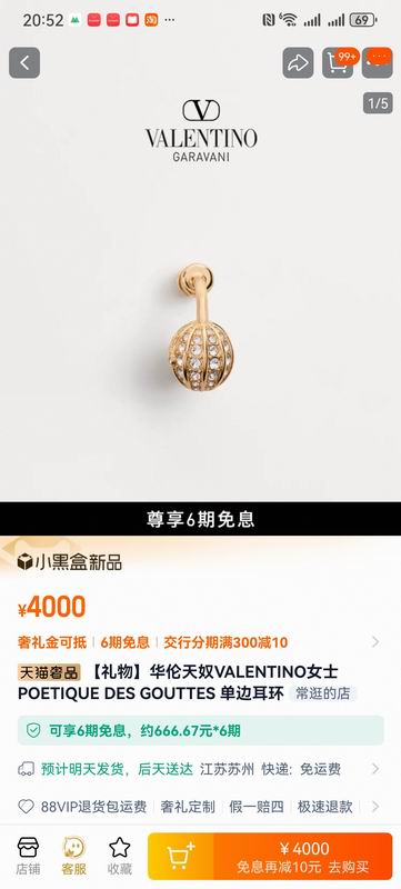 Valentino  Earring 05yxs26 (7)