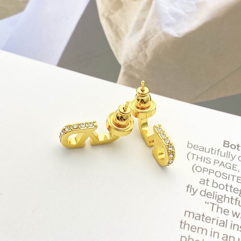 Valentino  Earring 05yxs72 (5)
