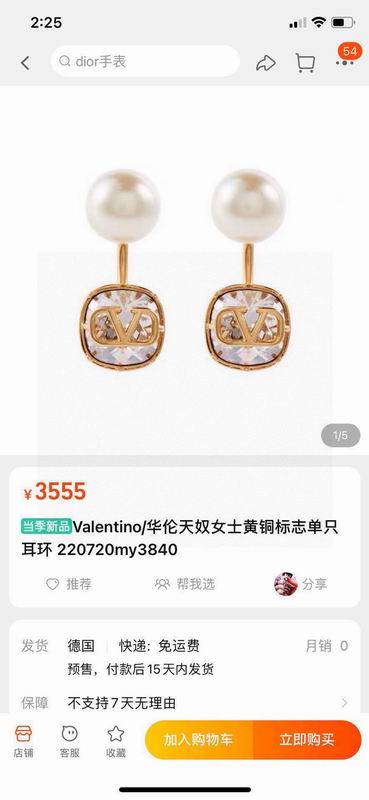 Valentino  Earring 05yxs79 (2)