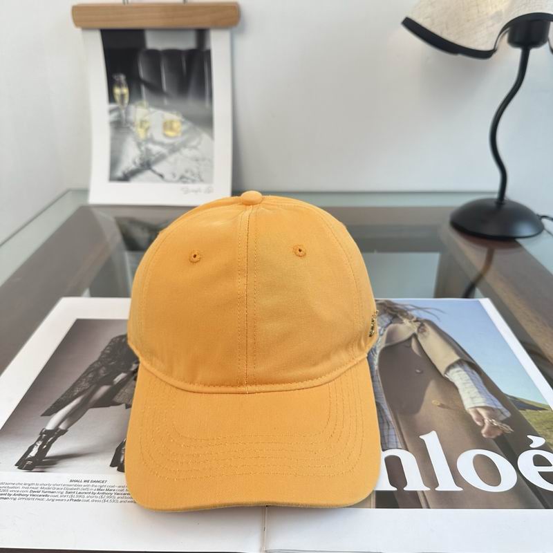 YSL Cap dx (495)