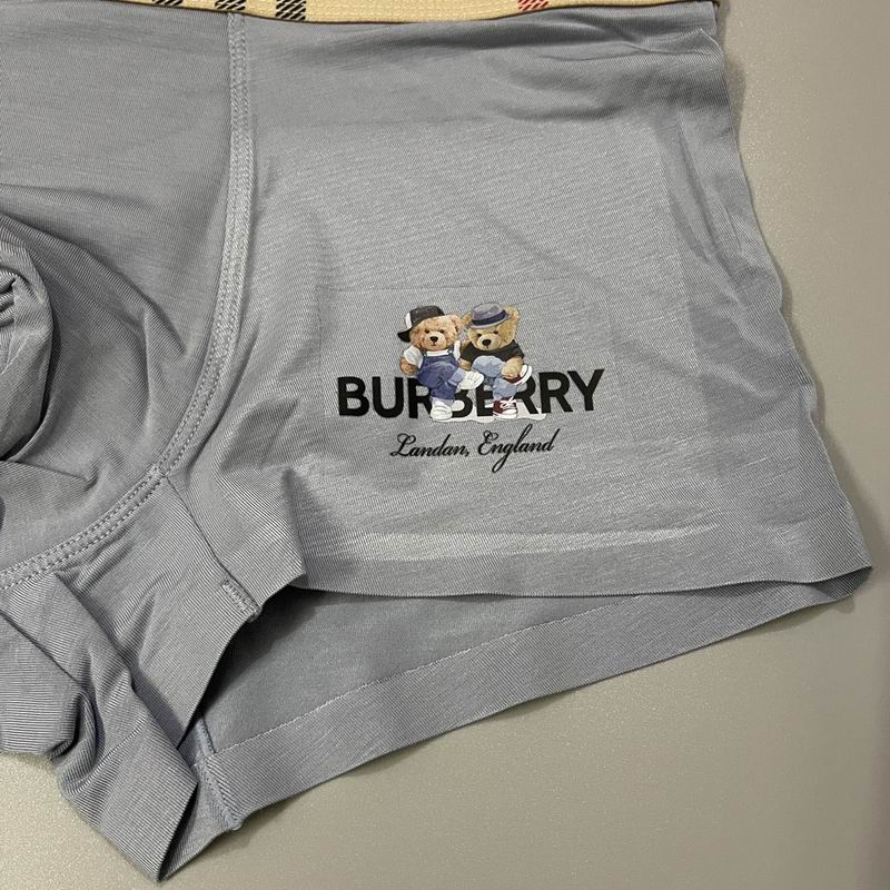 Burberry boxer L-3XL 07 (2)