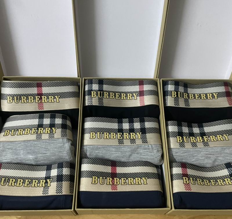 Burberry boxer L-3XL 16 (1)