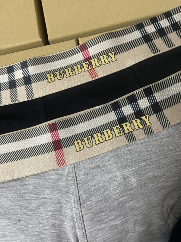 Burberry boxer L-3XL 16 (2)
