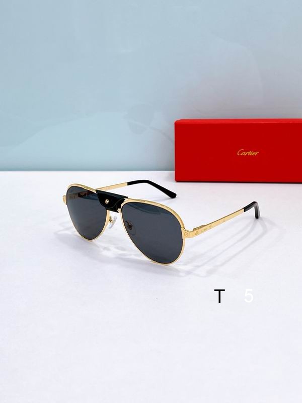 Cartier CT0034S 61 17-135 F01