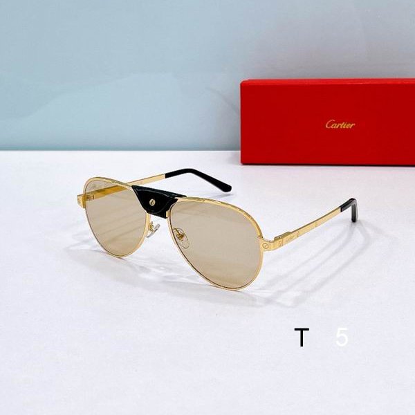 Cartier CT0034S 61 17-135 F02