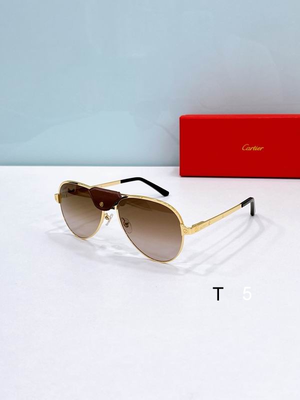 Cartier CT0034S 61 17-135 F05