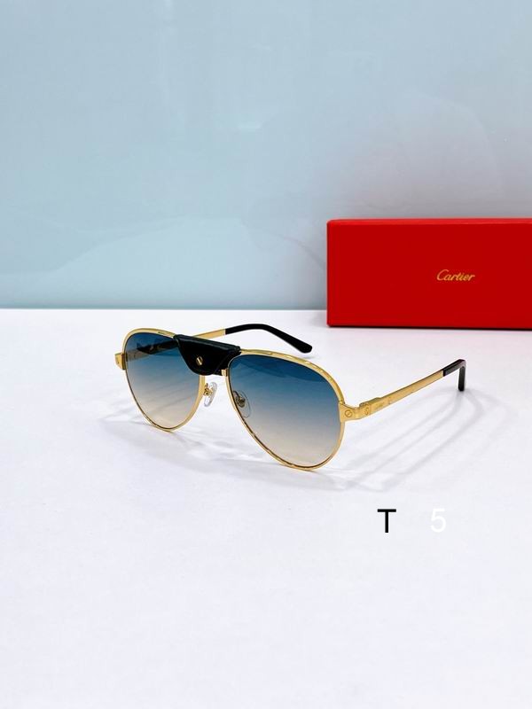 Cartier CT0034S 61 17-135 F07